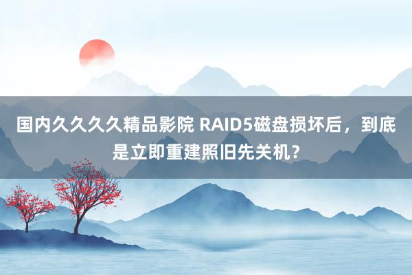 国内久久久久精品影院 RAID5磁盘损坏后，到底是立即重建照旧先关机？