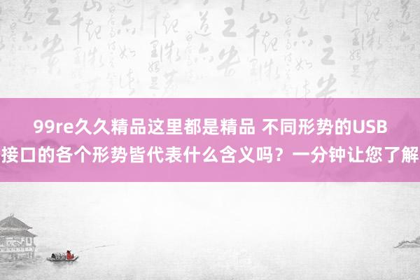 99re久久精品这里都是精品 不同形势的USB接口的各个形势皆代表什么含义吗？一分钟让您了解