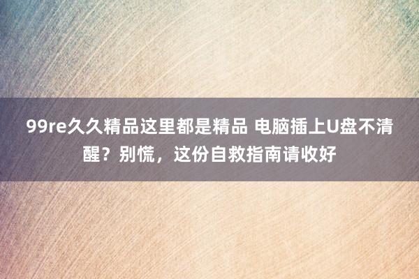 99re久久精品这里都是精品 电脑插上U盘不清醒?别慌,这份自救指南请收好